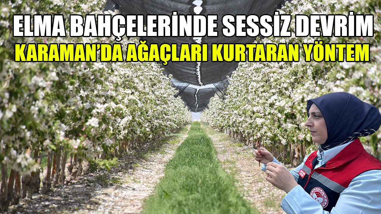 Karaman’da ağaçları kurtaran yöntem