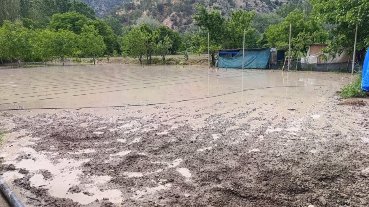 Nallıhan'da sağanağın ardından çayın taşması sonucu bazı bahçeleri su bastı