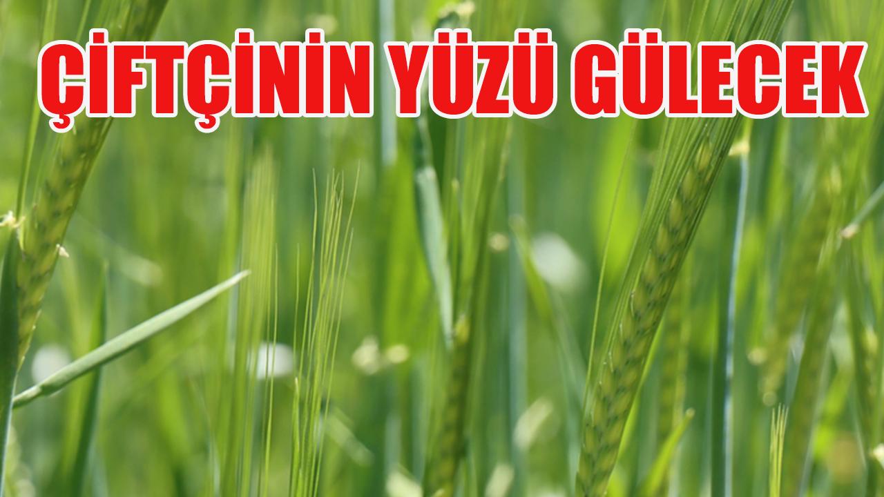 Çiftçinin yüzü gülecek
