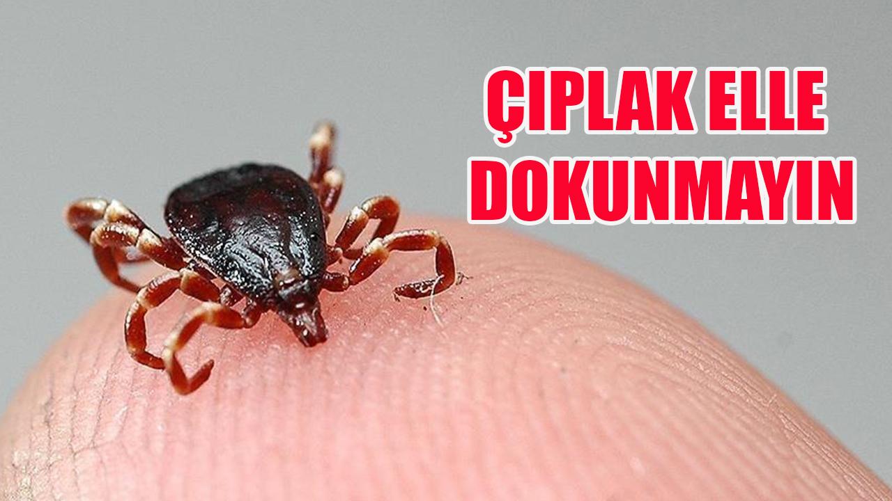 Çıplak elle dokunmayın