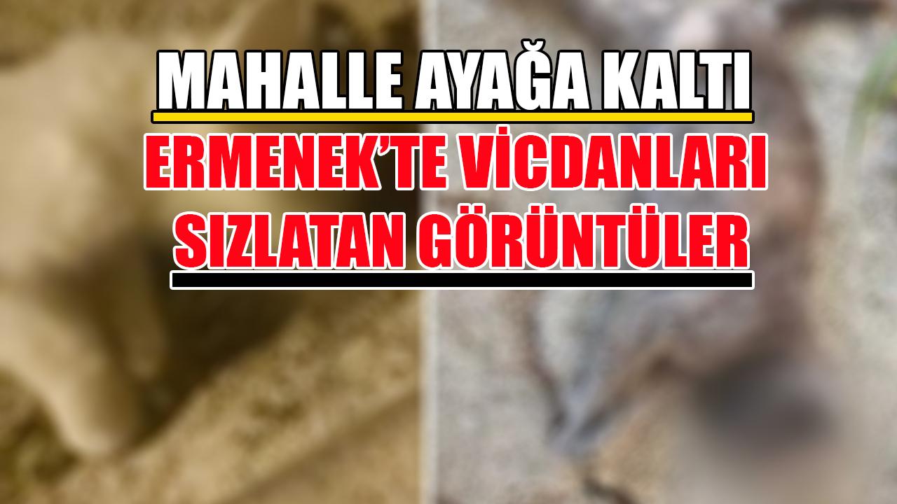 Ermenek'te vicdanları sızlatan görüntüler