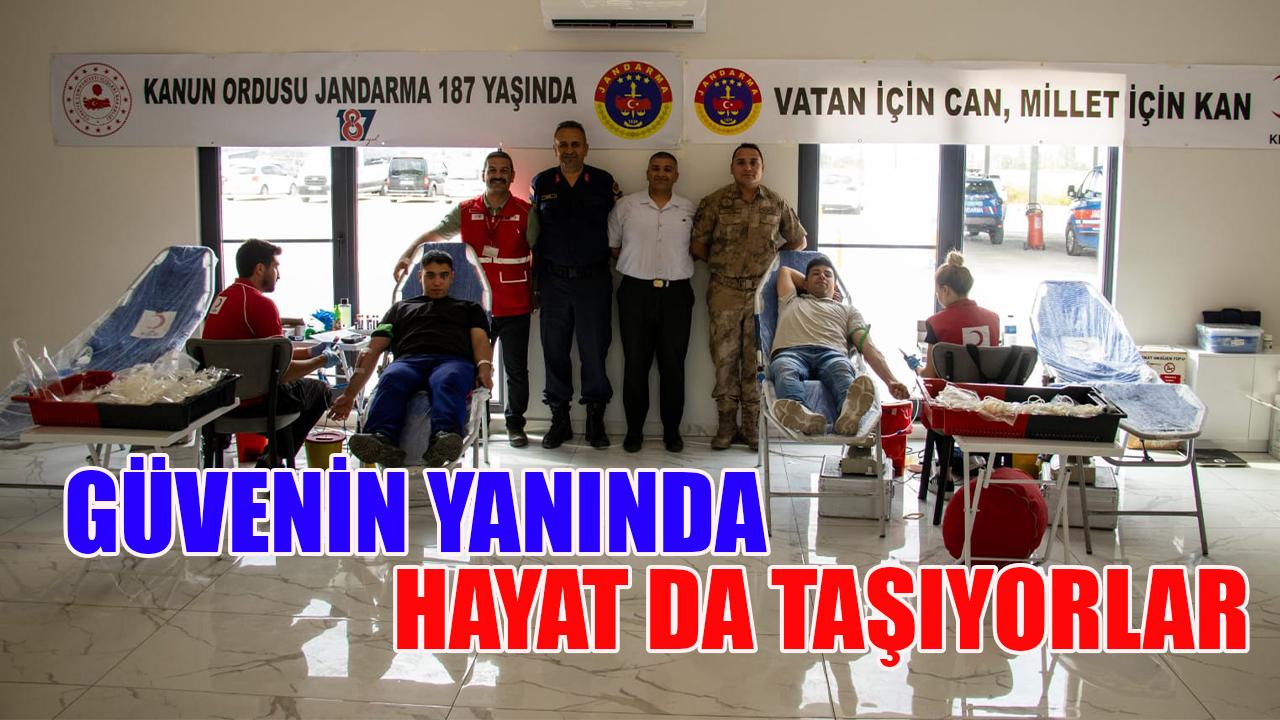 Güvenin yanında hayat da taşıyorlar