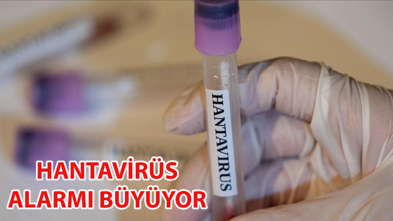 Hantavirüs alarmı büyüyor