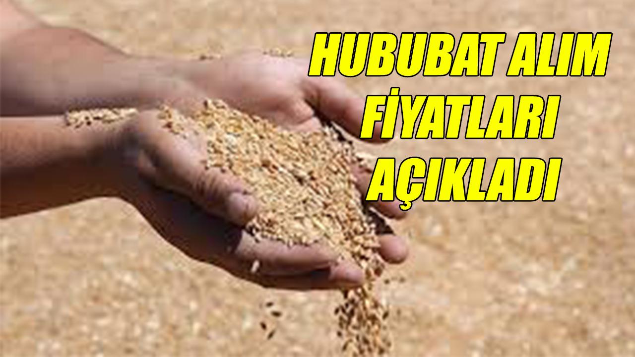 Hububat alım fiyatları açıkladı