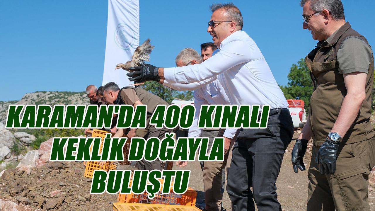 Karaman'da 400 kınalı keklik doğayla buluştu
