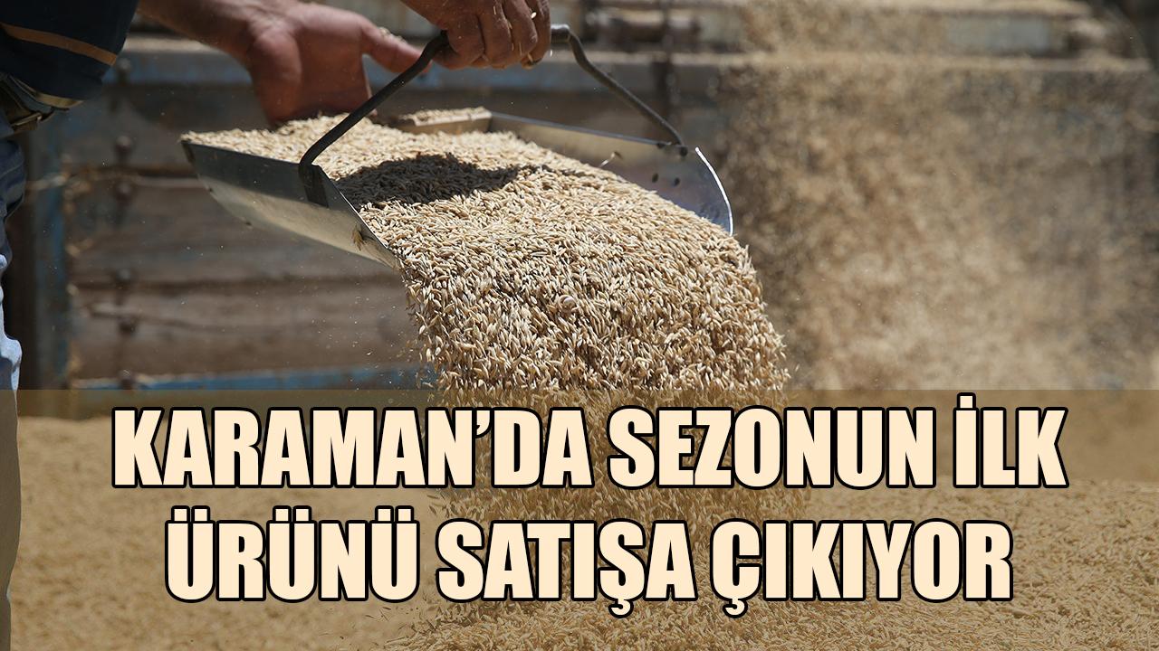Karaman'da sezonun ilk ürünü satışa çıkıyor
