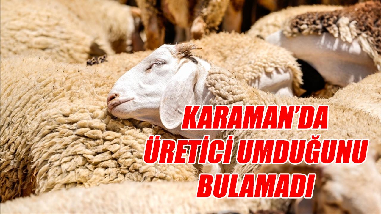 Karaman'da üretici umduğunu bulamadı