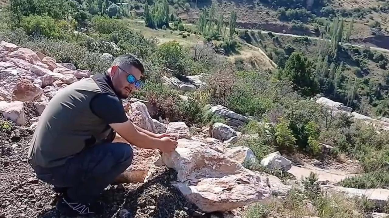 Karaman'da yaralı bulunan kukumav doğaya döndü