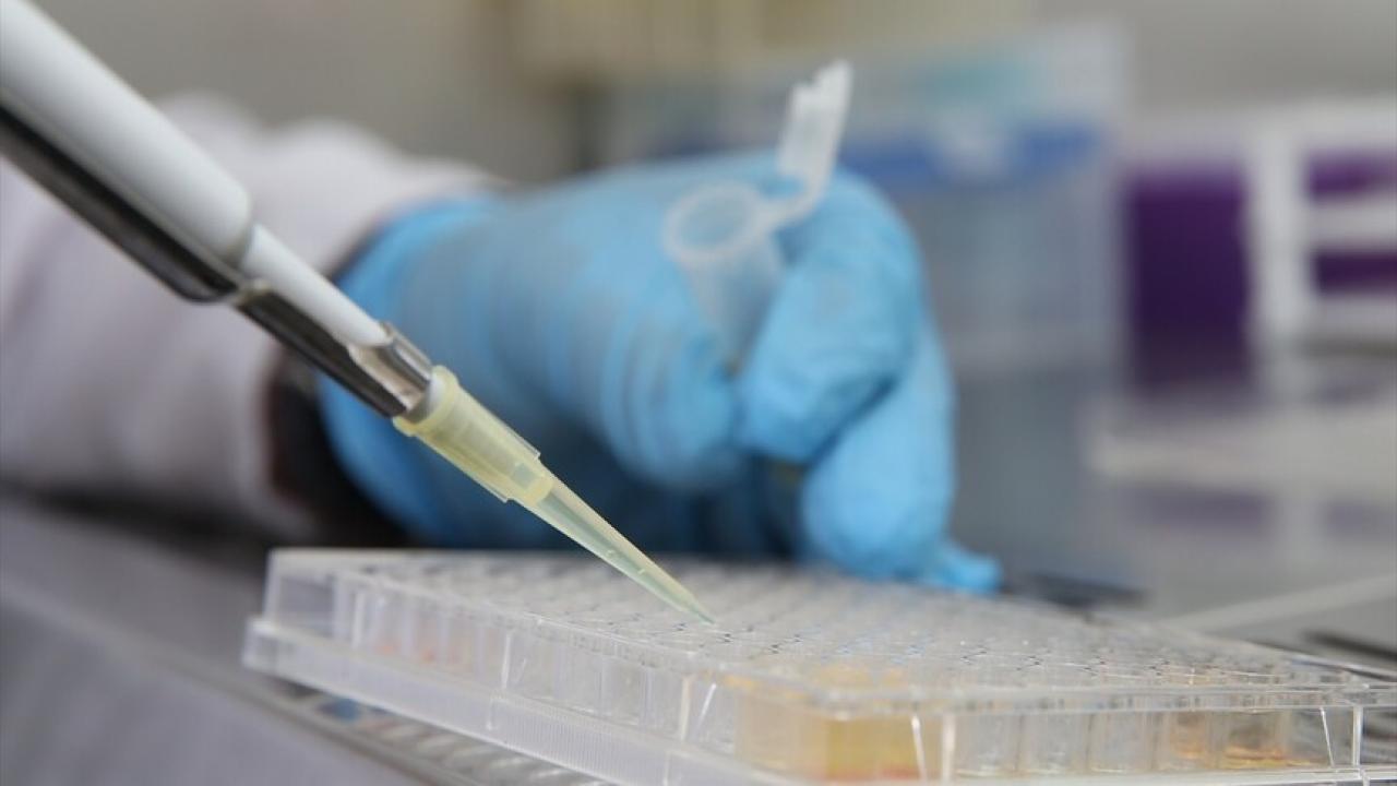 Nanoteknolojiyle arı zehri tedavisi