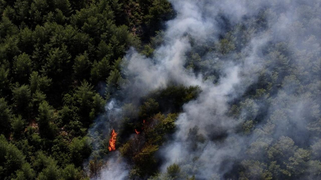 Orman yangınlarında dikkatsizlik alarm veriyor