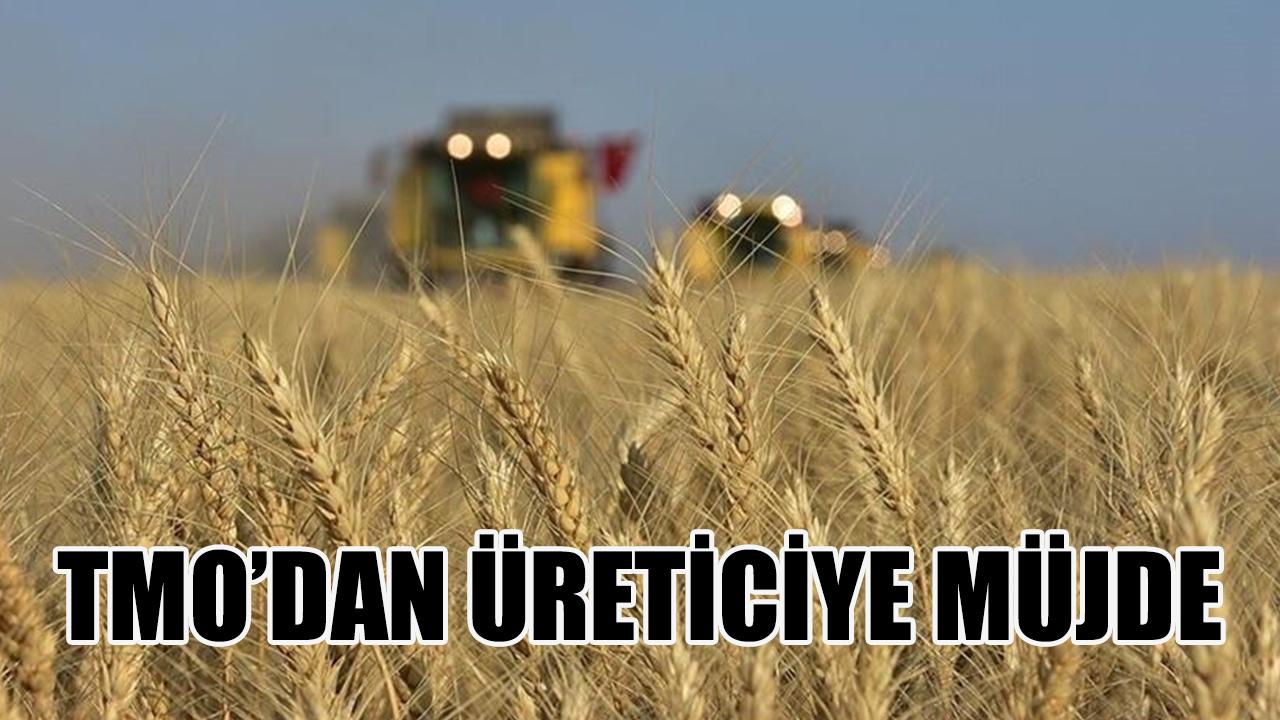 TMO’dan üreticiye müjde