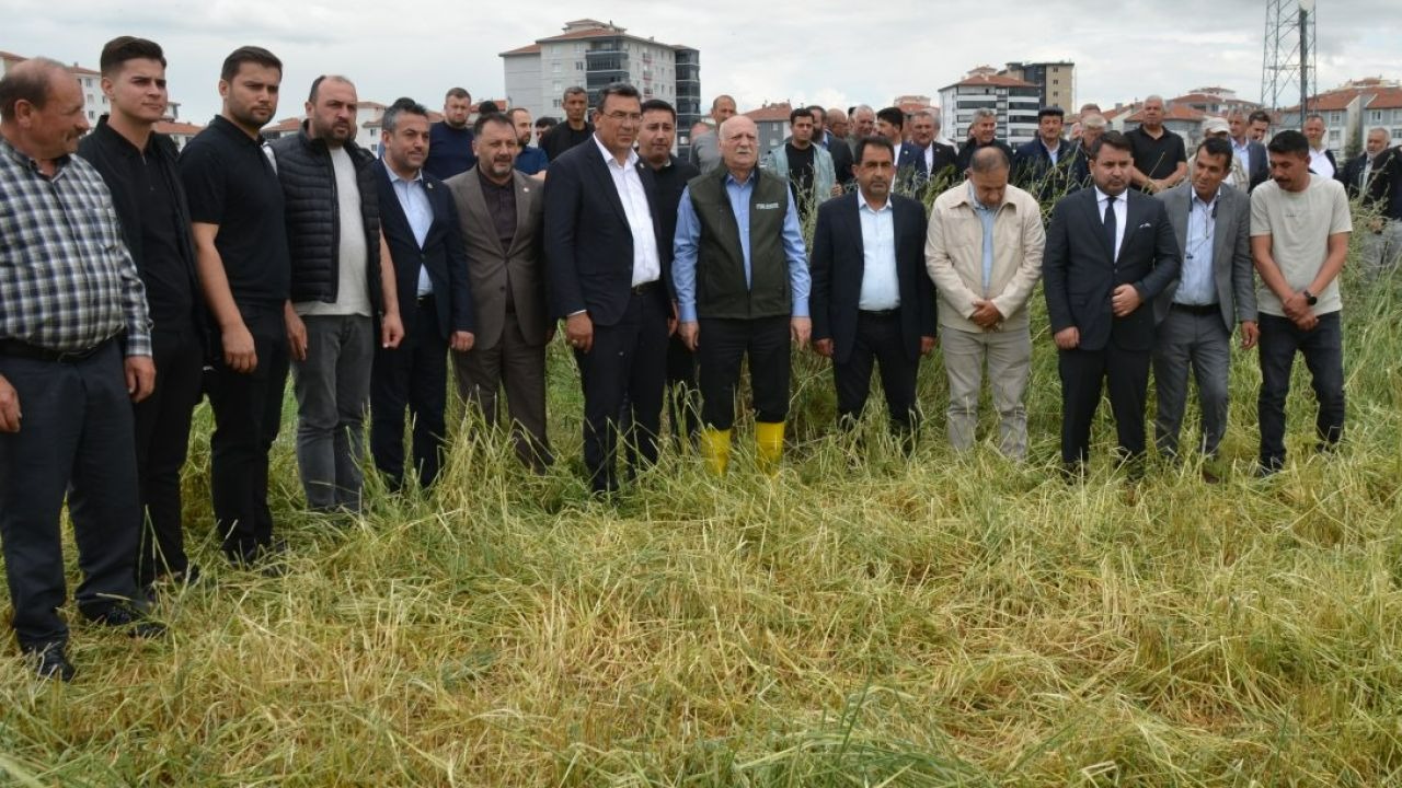 TZOB Genel Başkanı Bayraktar, Kahramankazan'da zarar gören tarım arazilerinde incelemede bulundu: