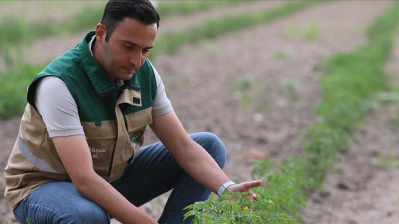Yerel tohumlar tarıma kazandırılıyor