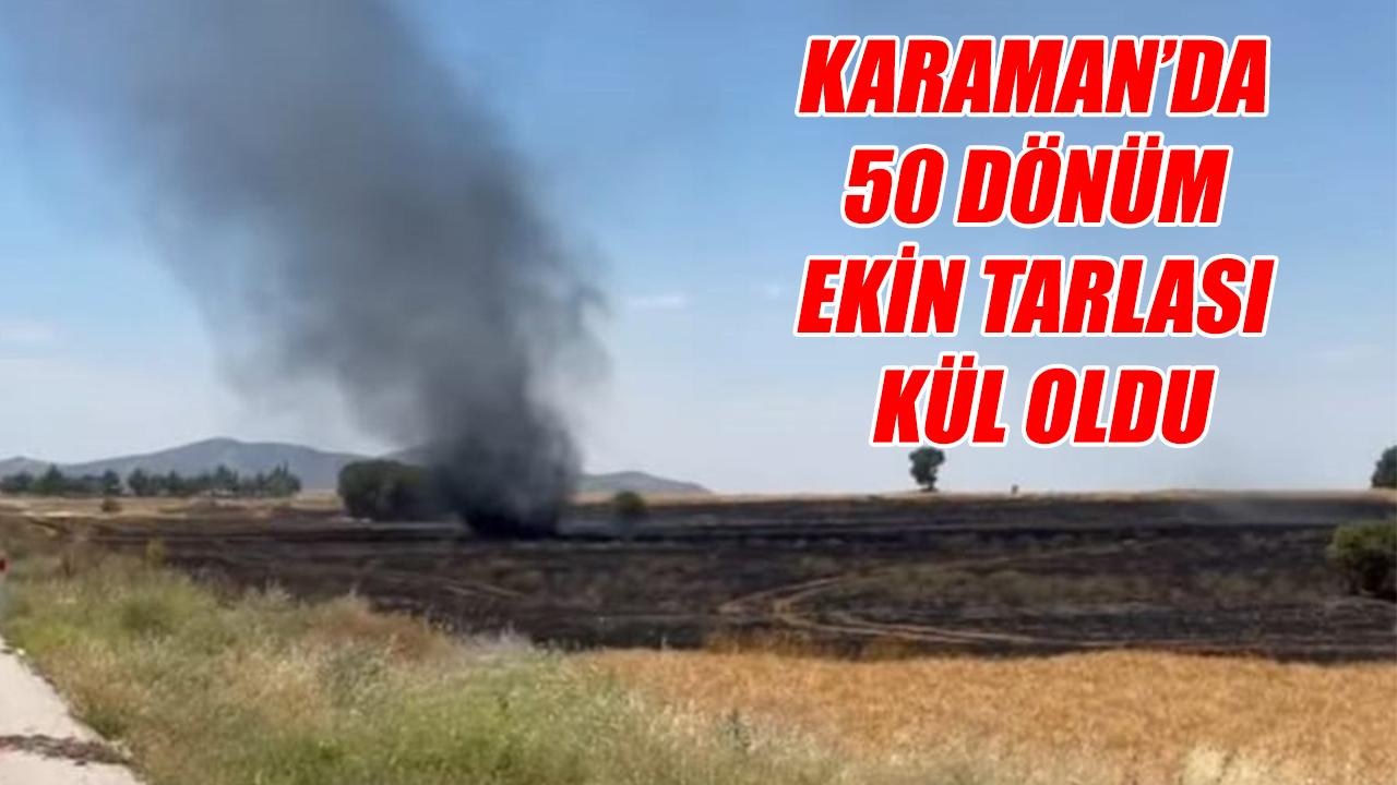 Karaman'da 50 dönüm ekin tarlası kül oldu