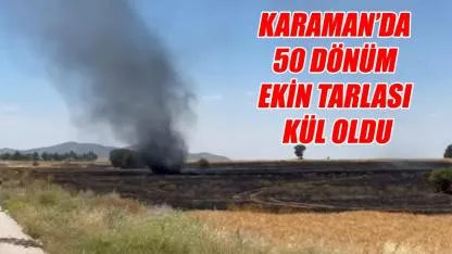 Karaman'da 50 dönüm ekin tarlası kül oldu