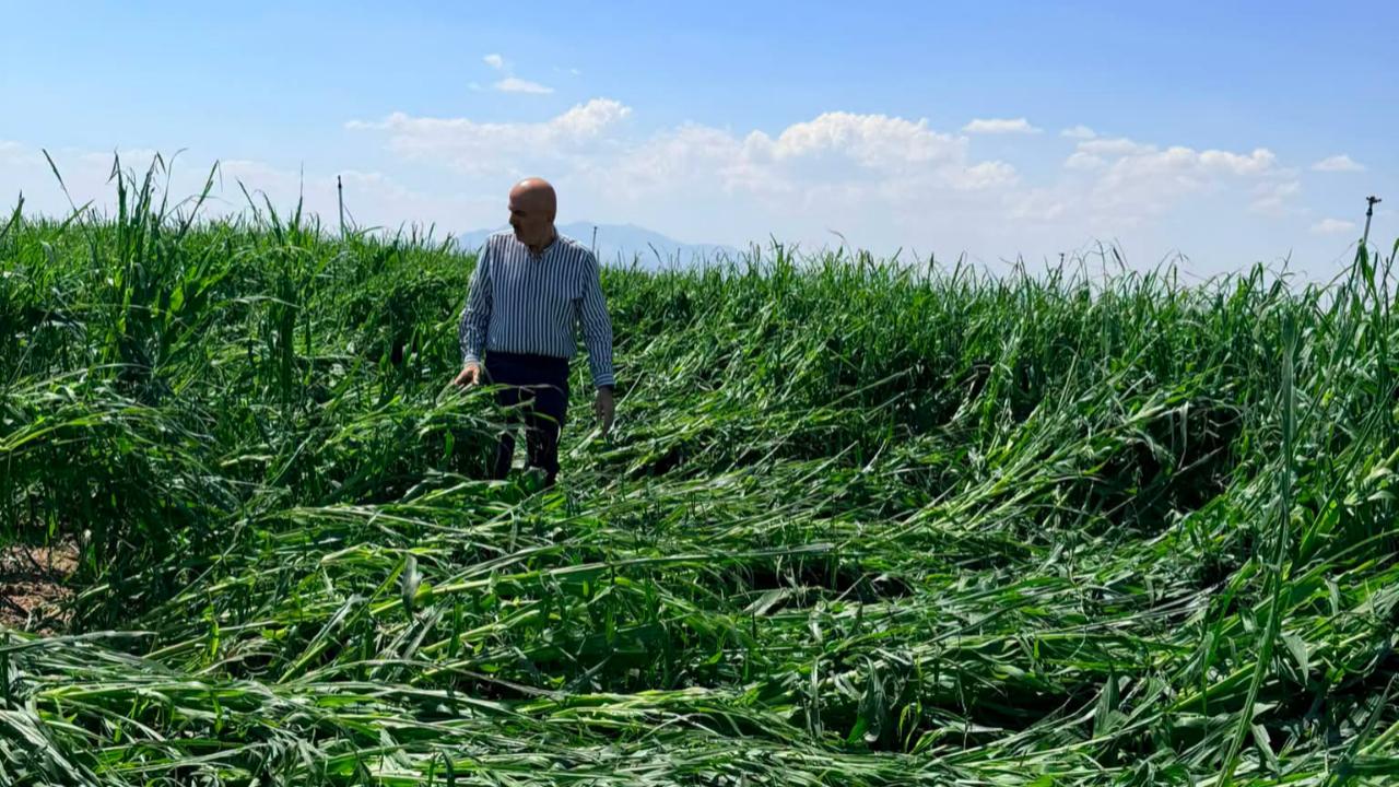 Karaman'da çiftçiyi dolu vurdu