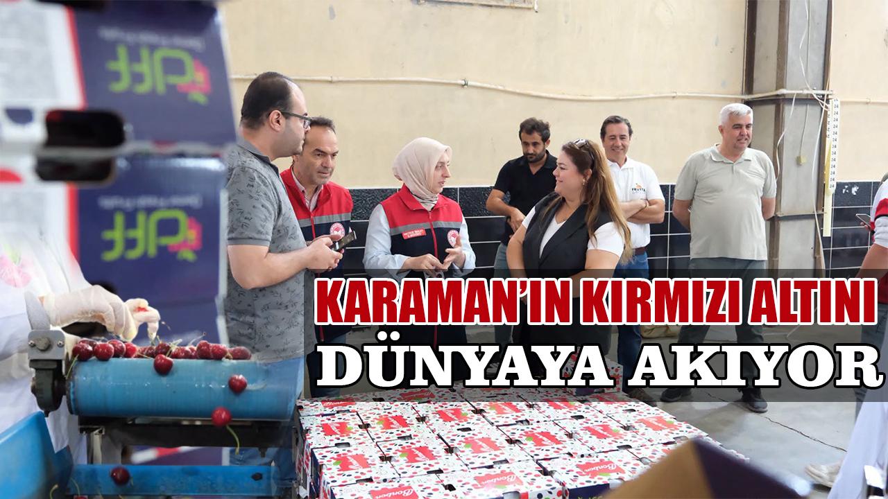 Karaman'ın kırmızı altını dünyaya akıyor