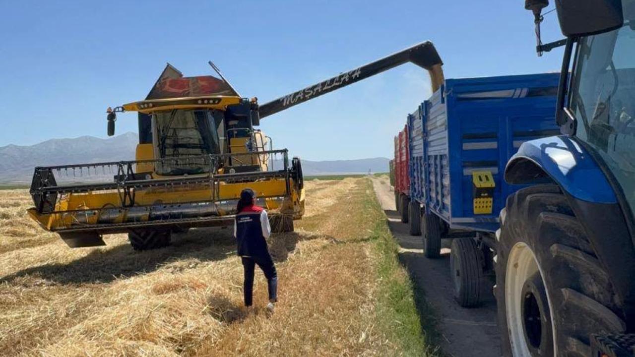 Kazımkarabekir'de hasat zamanı