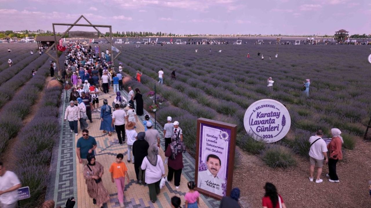 Lavanta Festivali Başladı