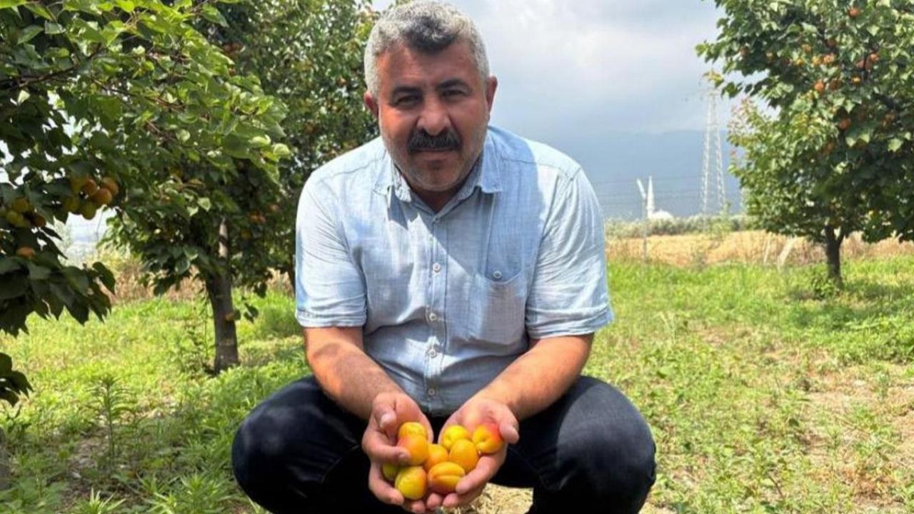 Mühendisi dinledi köşeyi döndü: İhracatçı bahçede kuyrukta
