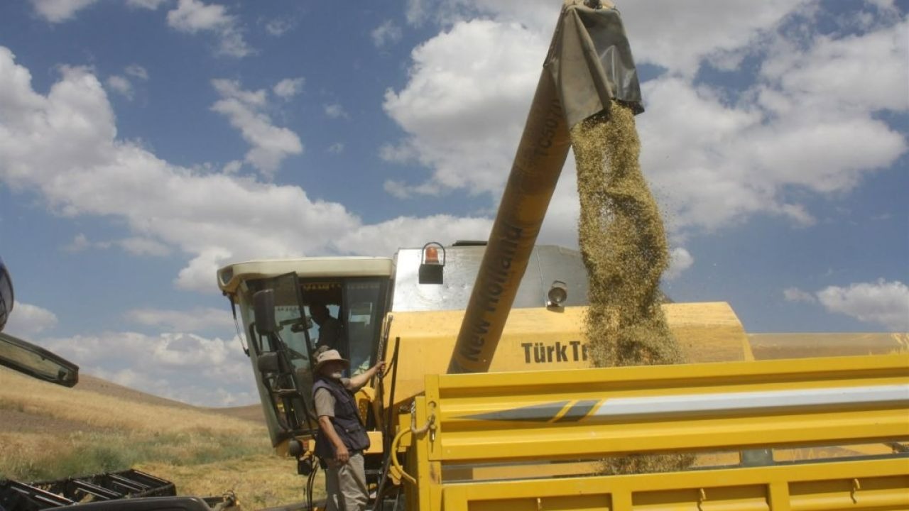 Yozgat'ta toprak işlemesiz tarım yöntemiyle ekilen mercimeğin hasadı yapıldı