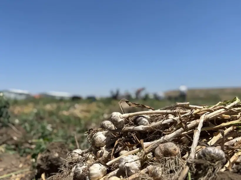 Ankara’da bir ilki başardı, şimdi paraya para demiyor